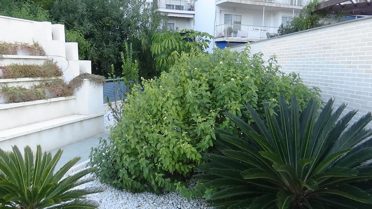 Aпартаменты В San Juan Playa Alicante Bagian luar foto